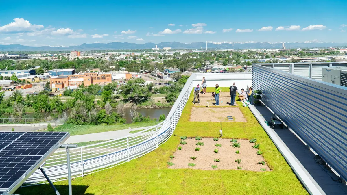Ученые Колорадо запустили проект по созданию зеленых оазисов на крышах зданий