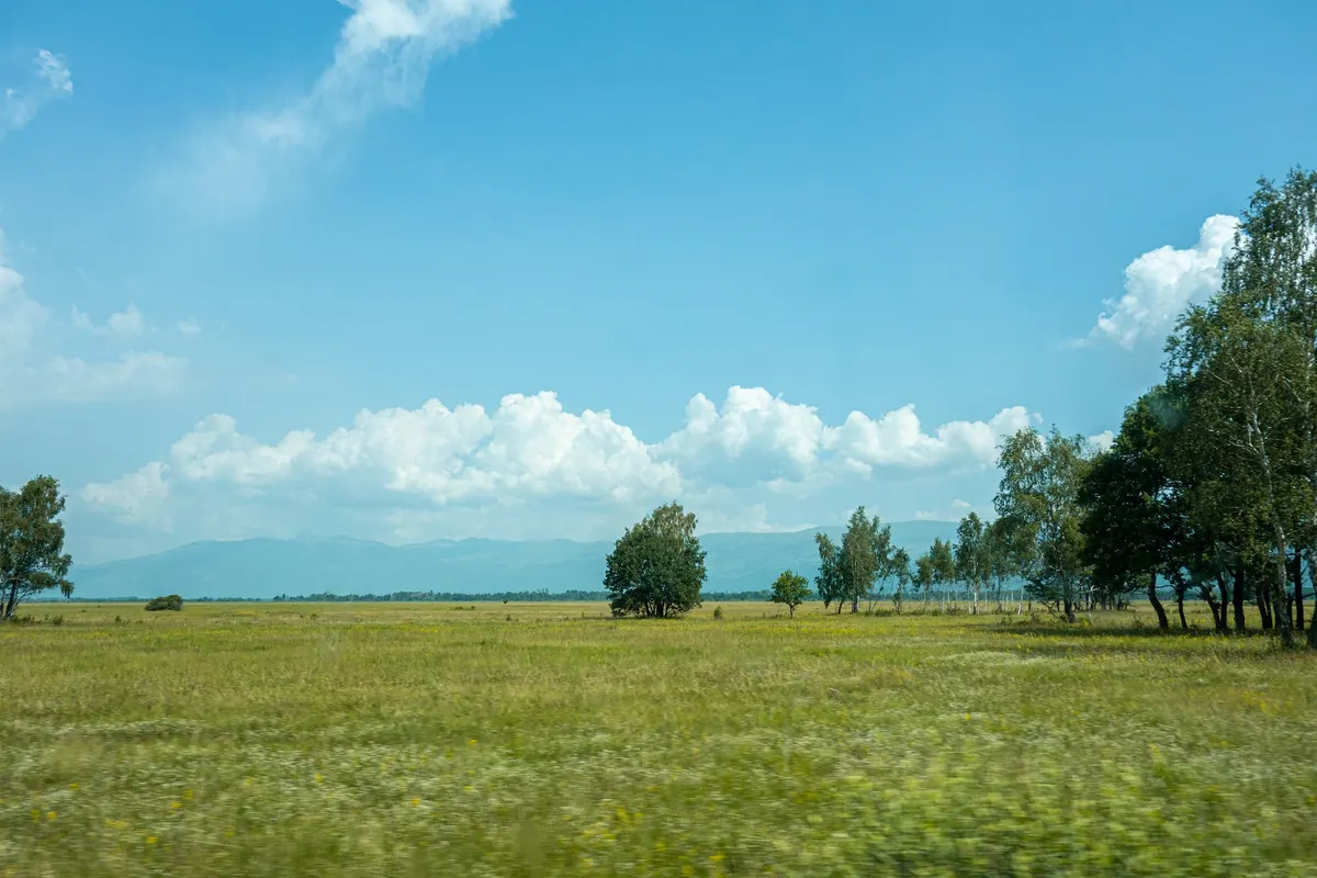 В Узбекистане обязали застройщиков снимать и сохранять плодородный слой почвы
