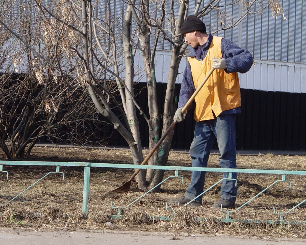 Как жаловаться на неубранные дворы в Алматы: новая система уборки территории